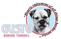 Gusto Border Terriers