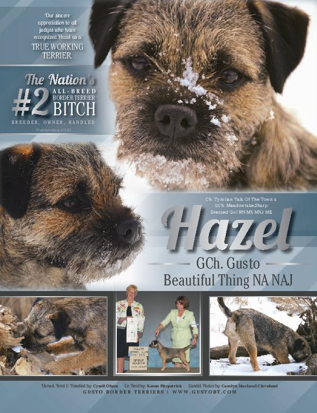 Hazel's Tear Sheet from Showsight magazine